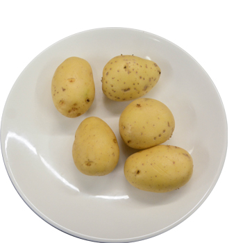 Segundo plato cena Nochevieja - recetas fáciles