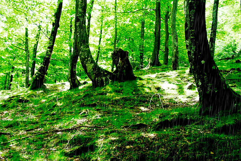 Parque Natural Aizkorri-Aratz