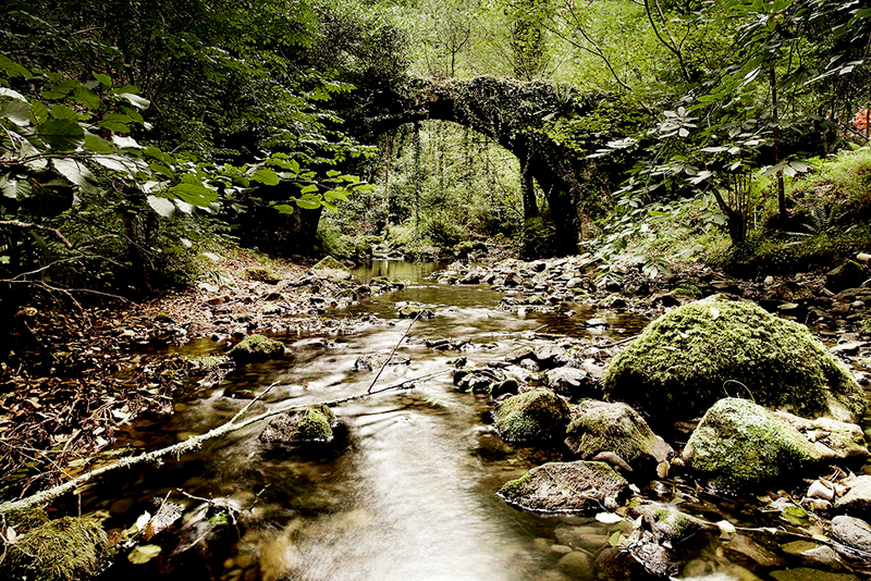 Calzada Medieval y puente Artzubi