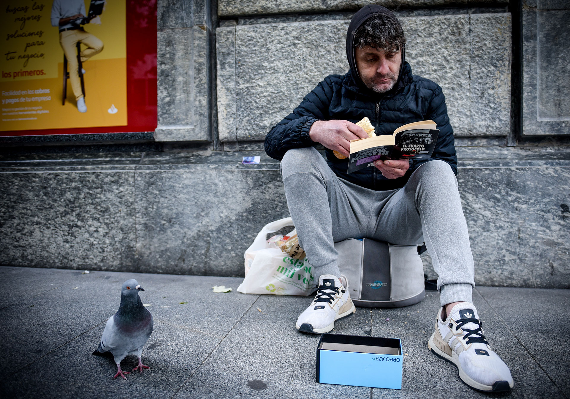 Plamen leyendo un libro