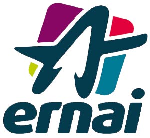 Logo Ernai