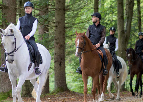 Aiaraldea Experiencias