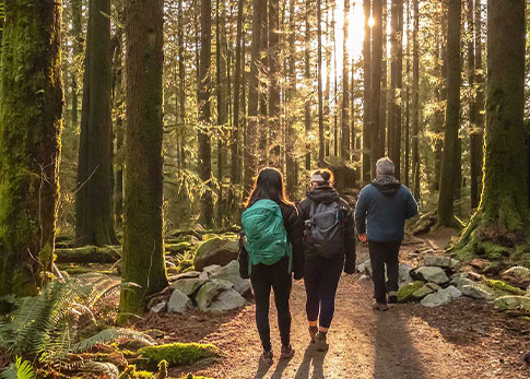 Aiaraldea Senderismo