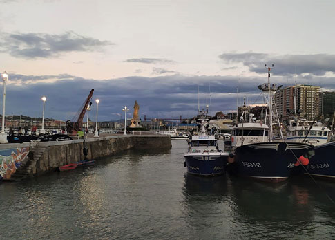 ¿Qué hacer y ver en Bizkaia?