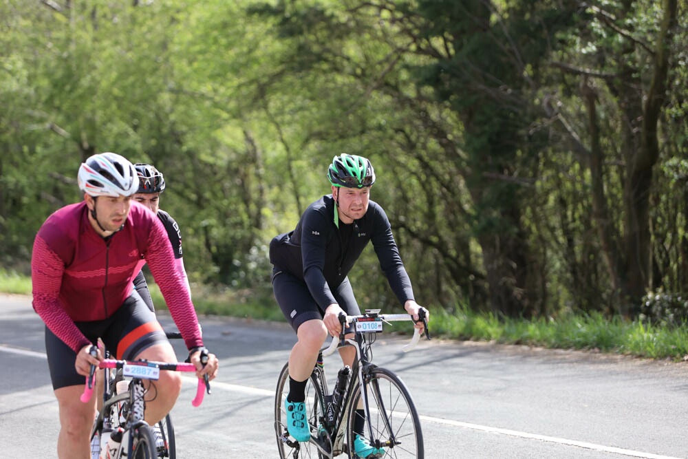 Foto 2 de la Vivero (11.11-11.26)