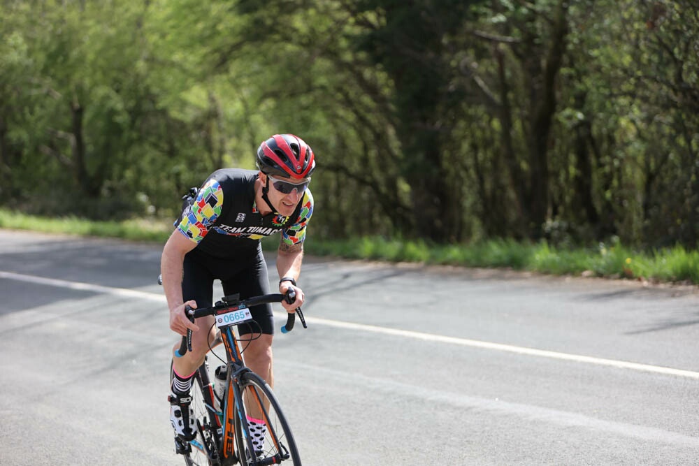 Foto 8 de la Vivero (11.11-11.26)