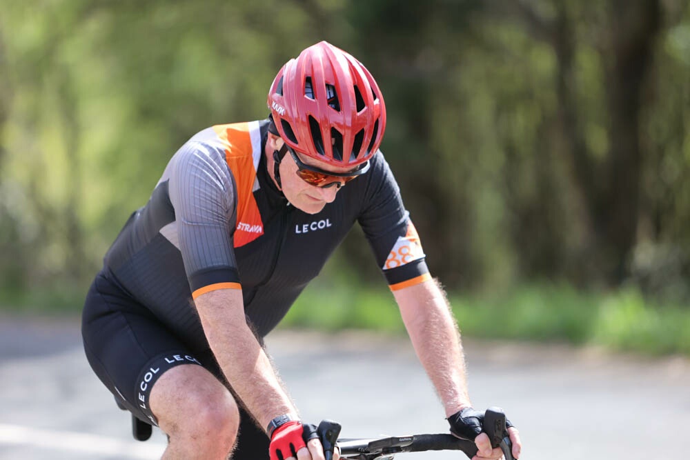 Foto 13 de la Vivero (11.11-11.26)