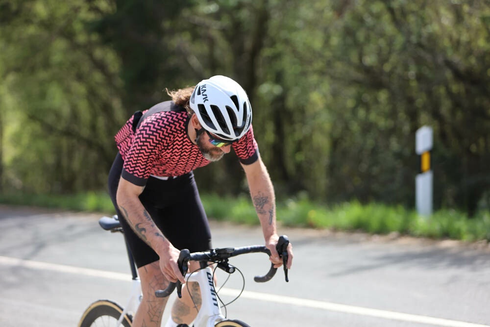 Foto 16 de la Vivero (11.11-11.26)