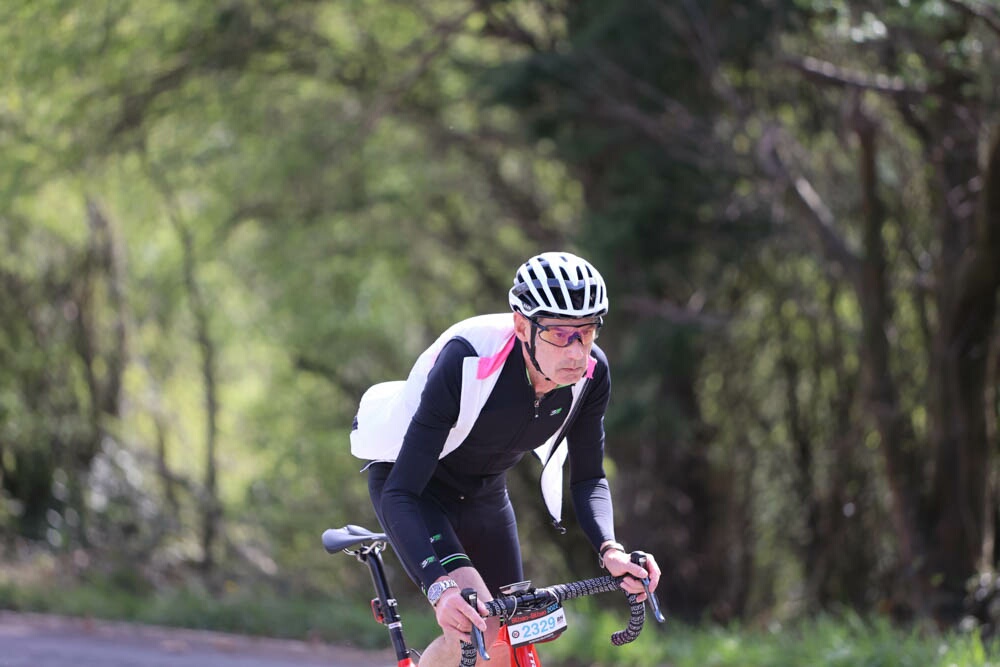 Foto 18 de la Vivero (11.11-11.26)