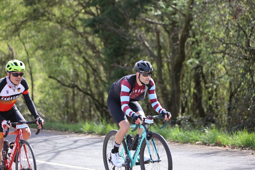 Foto 19 de la Vivero (11.11-11.26)