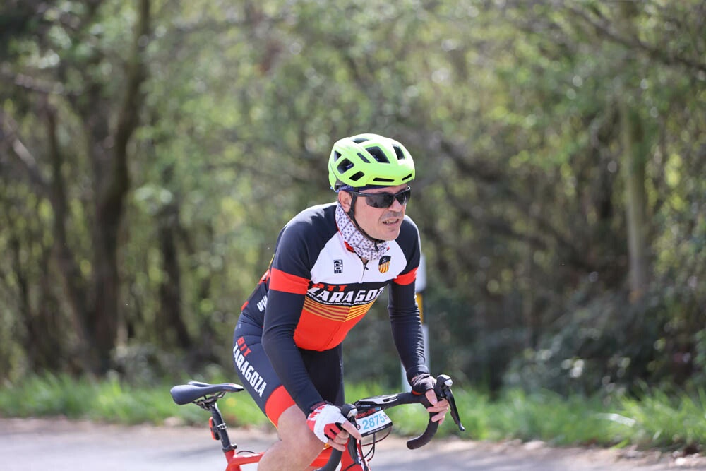 Foto 20 de la Vivero (11.11-11.26)