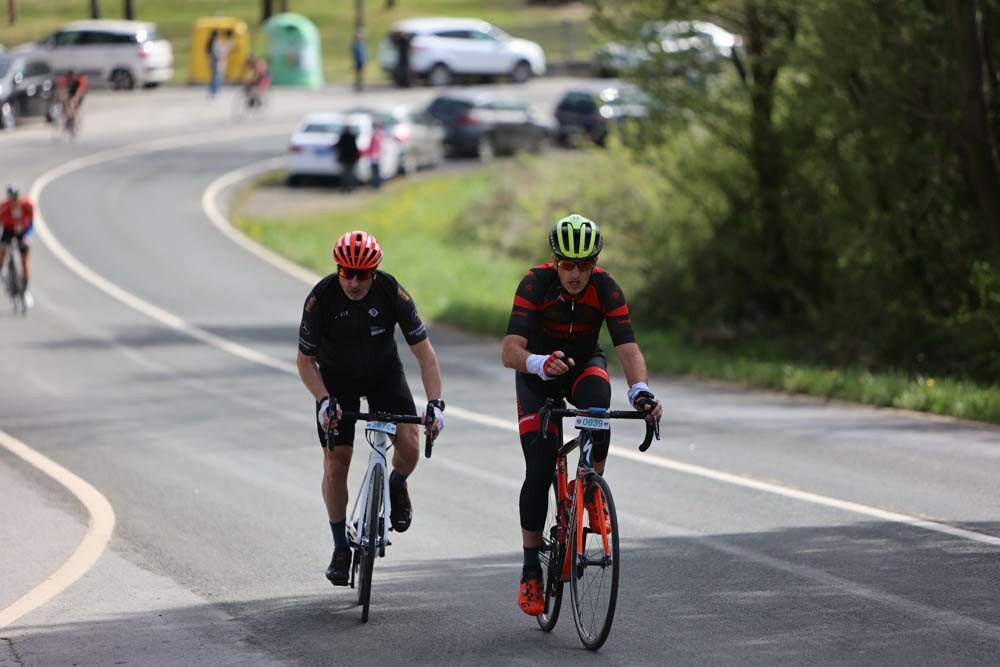 Foto 25 de la Vivero (11.11-11.26)