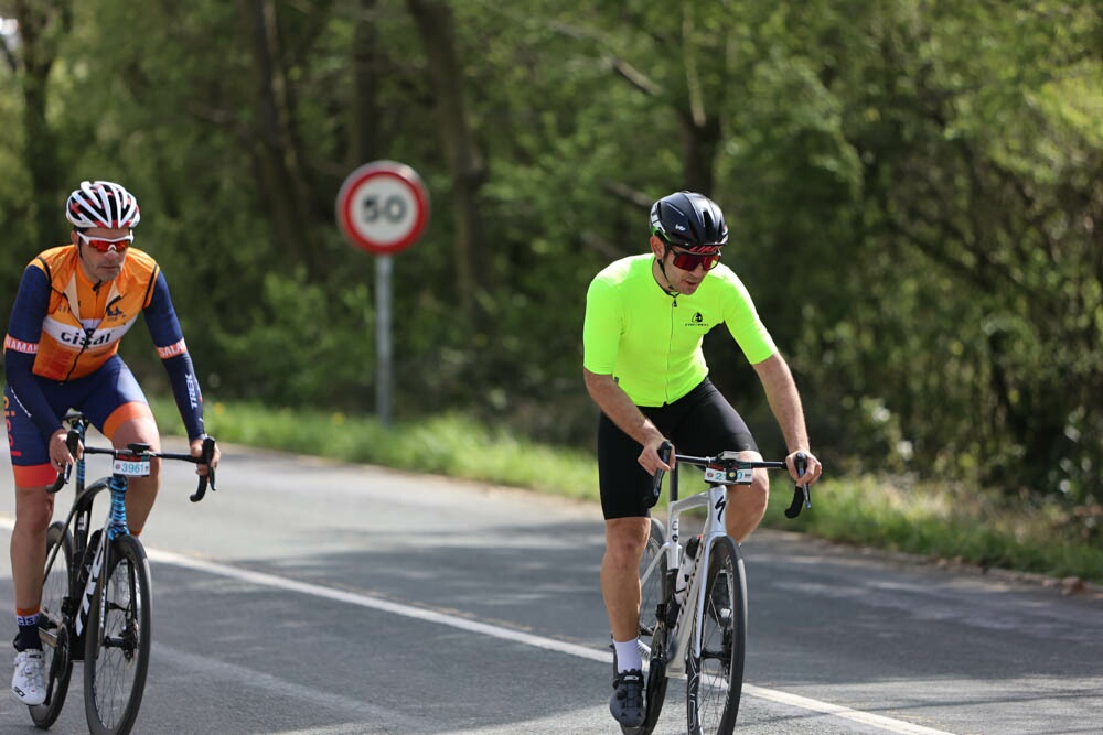 Foto 49 de la Vivero (11.11-11.26)