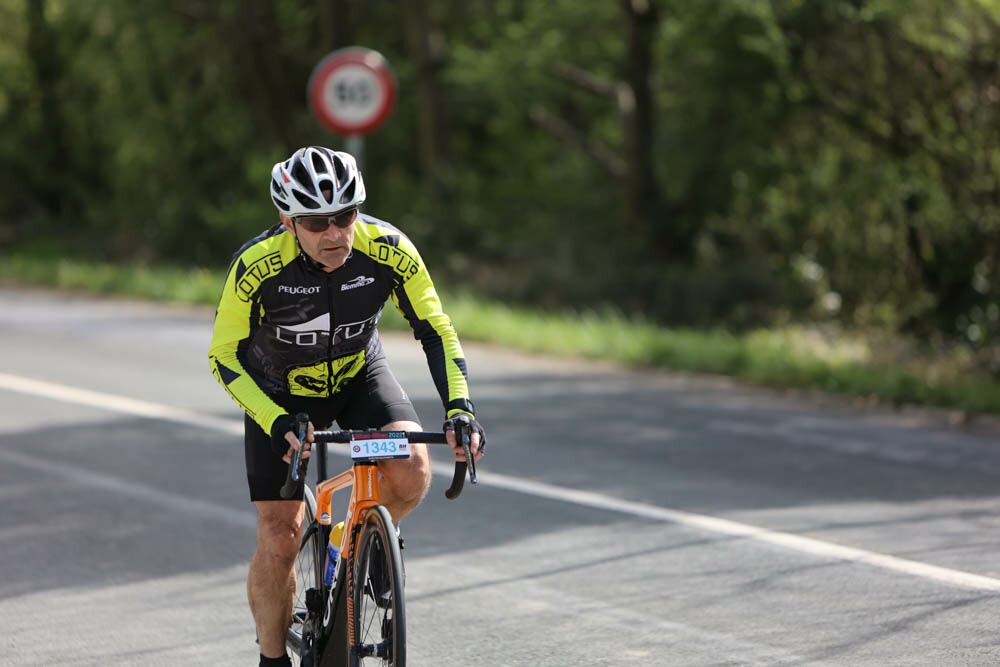 Foto 76 de la Vivero (11.11-11.26)