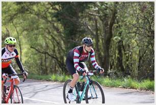 Foto 19 de la Vivero (11.11-11.26)