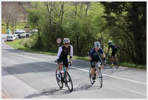 Foto 128 de la Vivero (11.11-11.26)