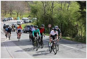 Foto 154 de la Vivero (11.11-11.26)