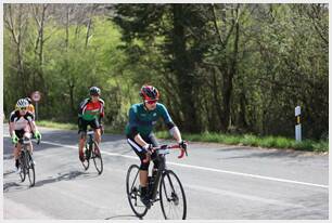 Foto 42 de la Vivero (11.38-11.48)