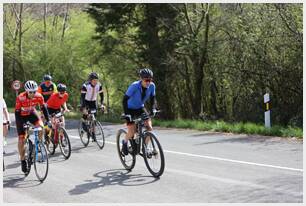 Foto 133 de la Vivero (11.38-11.48)