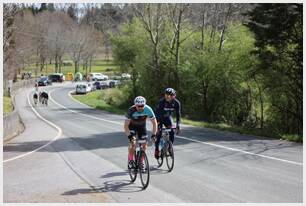 Foto 138 de la Vivero (11.38-11.48)