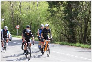 Foto 83 de la Vivero (11.49-11.59)