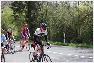 Foto 13 de la Vivero (12-12.13)