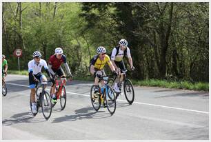 Foto 53 de la Vivero (12-12.13)