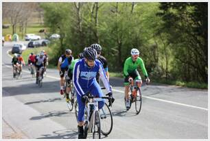 Foto 184 de la Vivero (12-12.13)