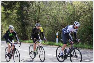 Foto 190 de la Vivero (12-12.13)