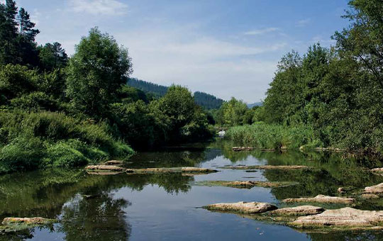 Parque lineal del Nervión