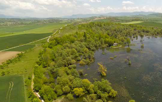 Parque ornitológico Mendixur